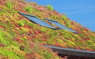 Fernwood living roof systems