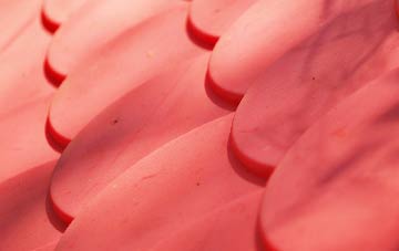 Fernwood plastic roof costs