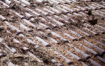 Fernwood roof cleaning companies