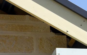soffit repair Fernwood